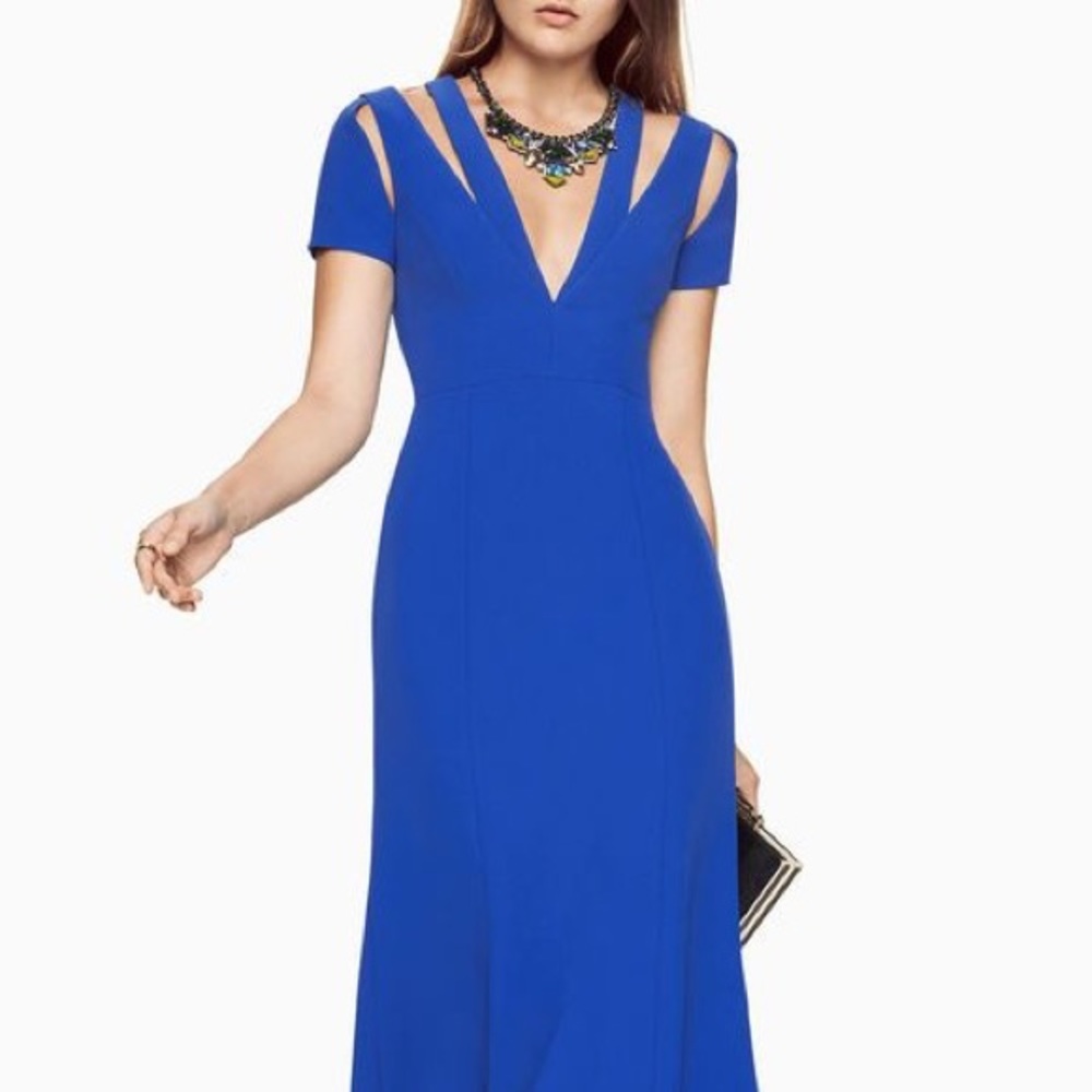BCBGMaxazria Estrella v-neck gown
